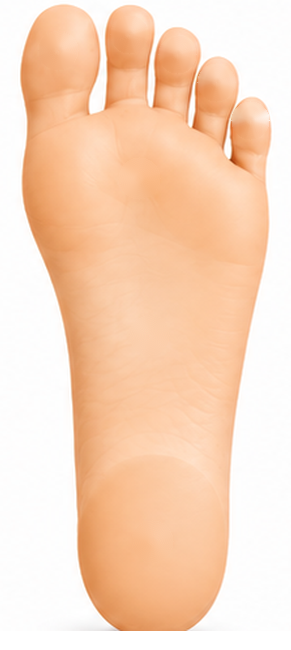 Plante du pied